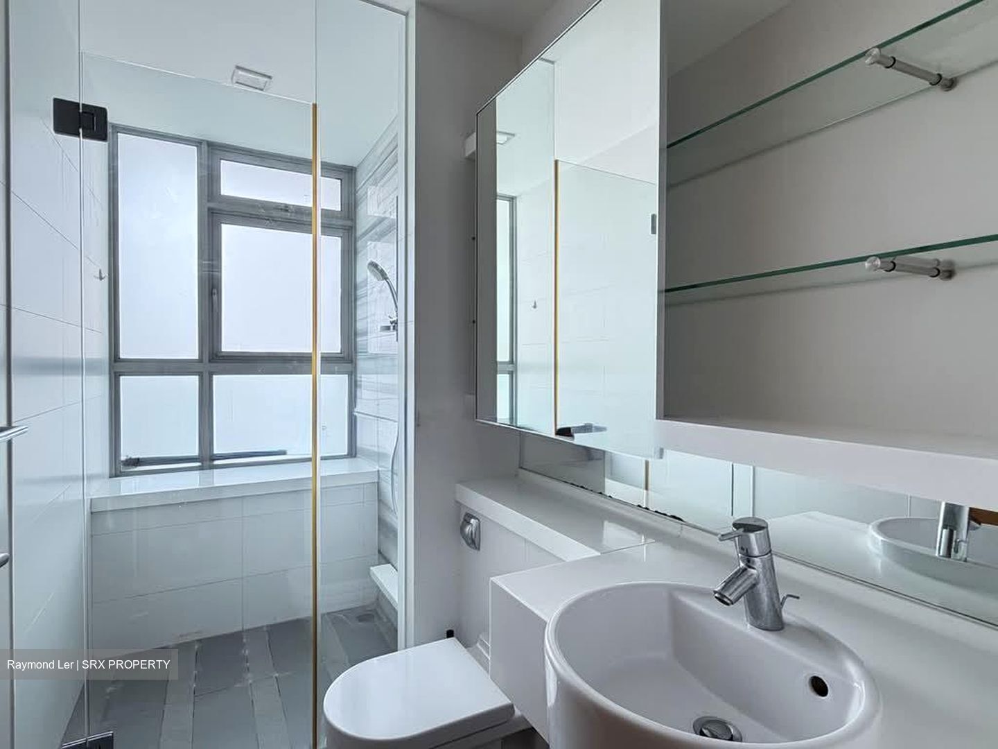 One Jervois (D10), Condominium #591816931